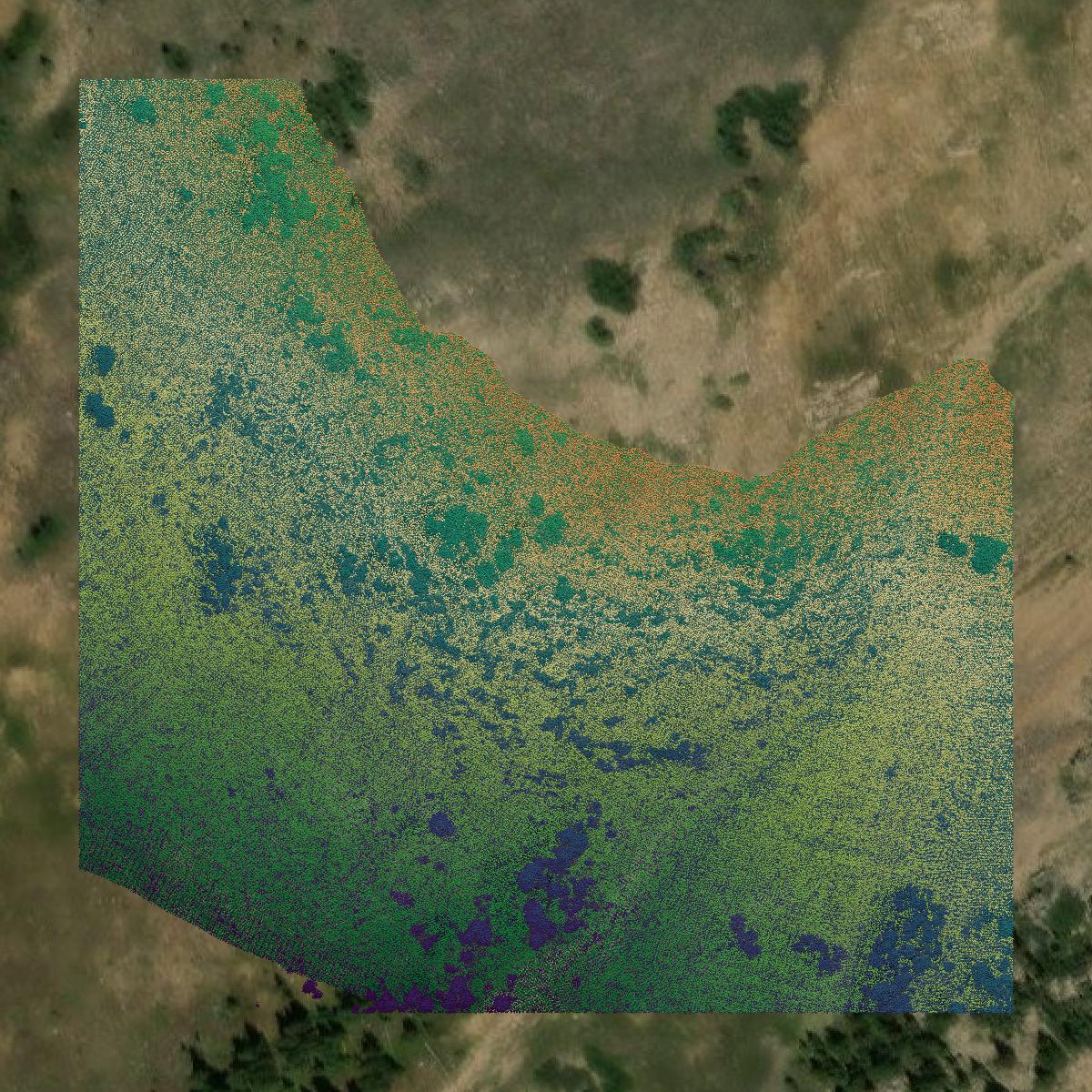 This image shows a LiDAR point cloud in Clear Creek County created using GIS data in Equator.