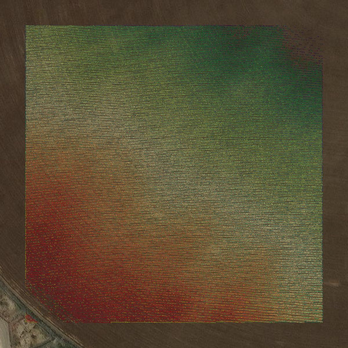 This image shows a LiDAR point cloud in Conejos County created using GIS data in Equator.