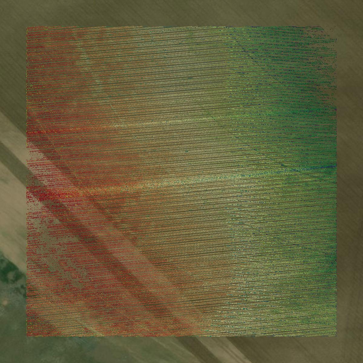 This image shows a LiDAR point cloud in Conejos County created using GIS data in Equator.