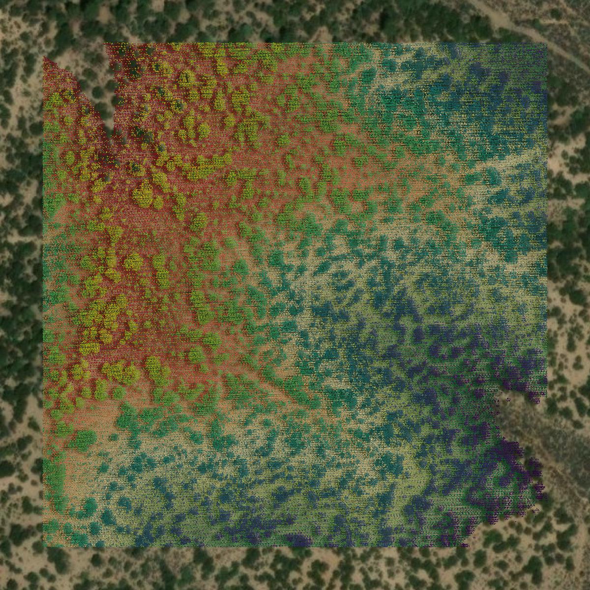 This image shows a LiDAR point cloud in Costilla County created using GIS data in Equator.