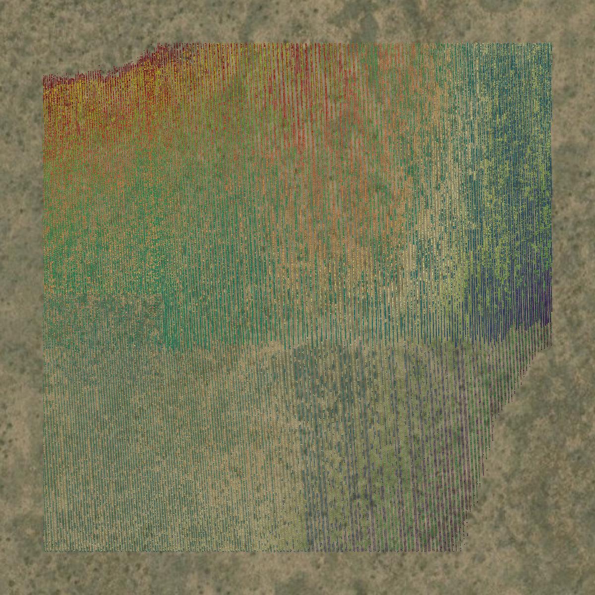 This image shows a LiDAR point cloud in Crowley County created using GIS data in Equator.