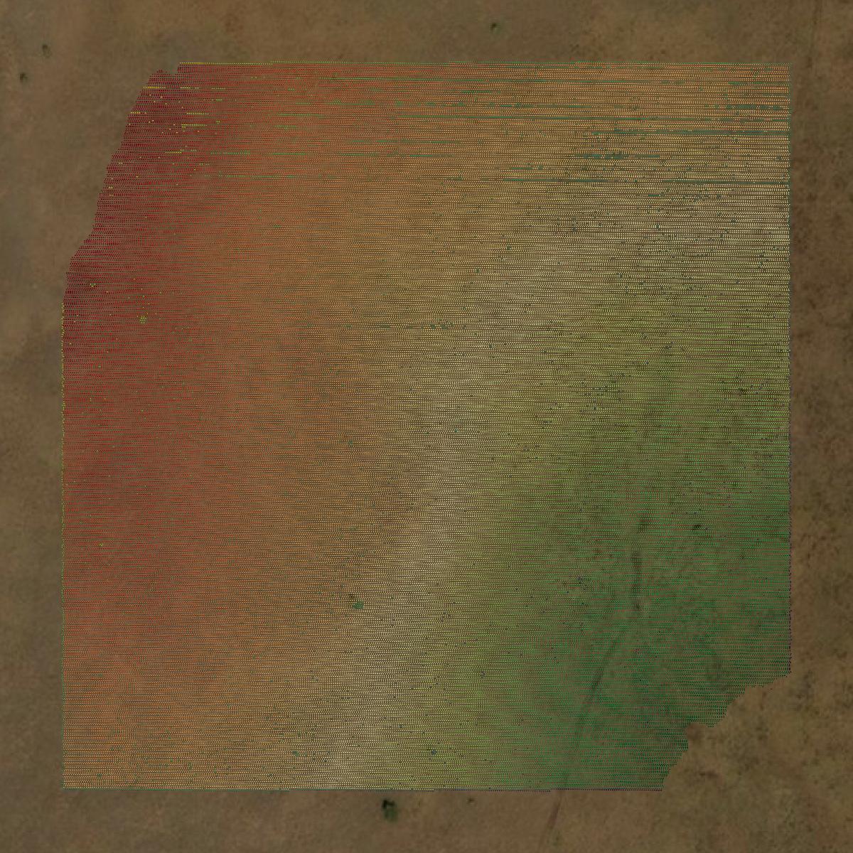 This image shows a LiDAR point cloud in Custer County created using GIS data in Equator.