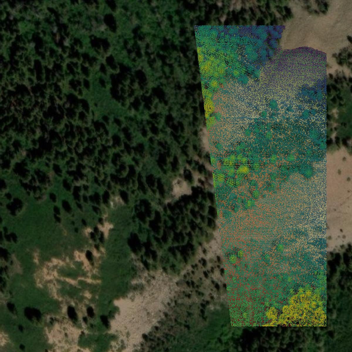 This image shows a LiDAR point cloud in Delta County created using GIS data in Equator.