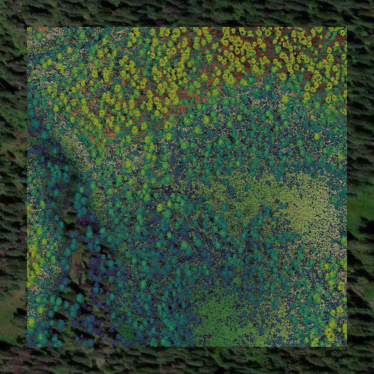 This image shows a LiDAR point cloud in Dolores County created using GIS data in Equator.