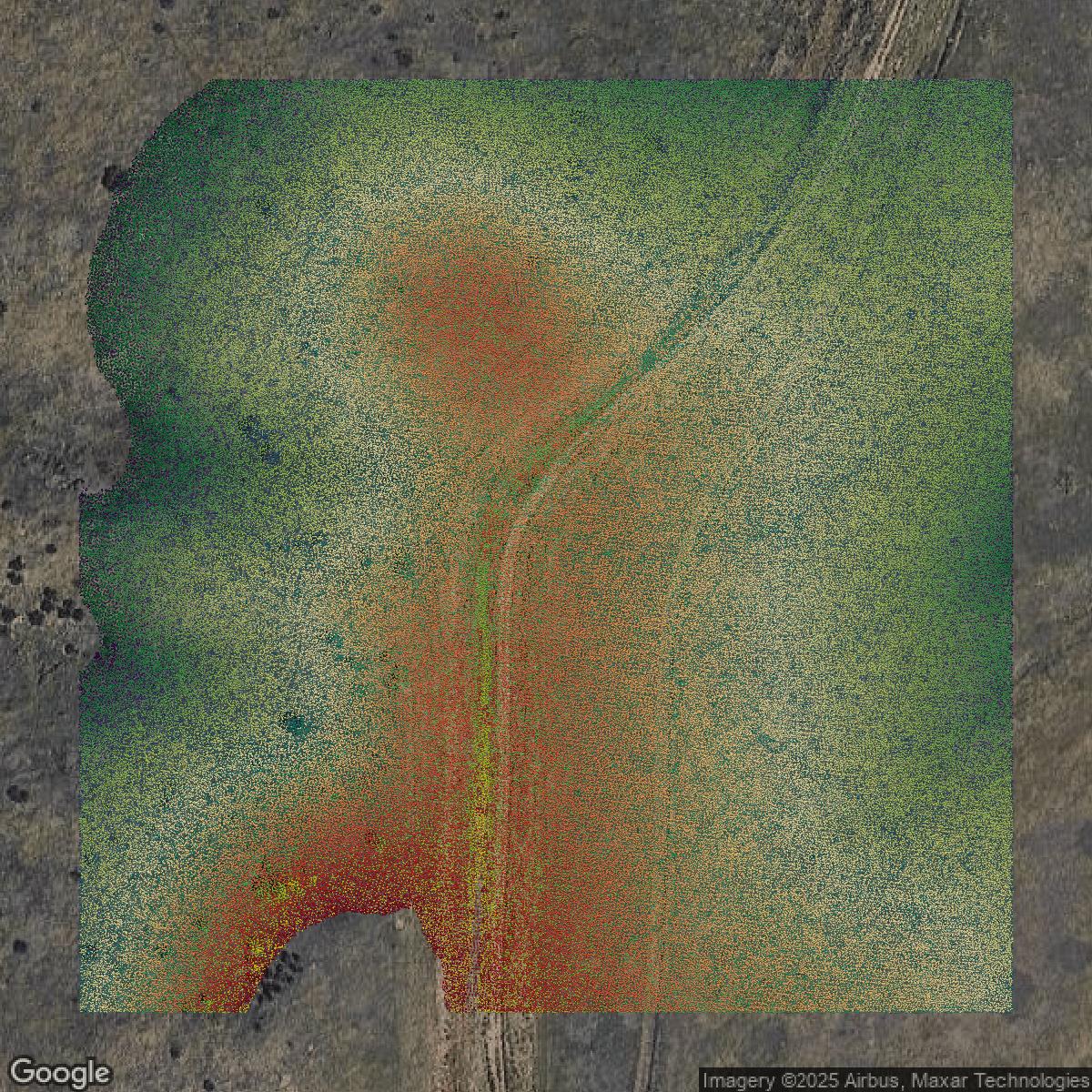 This image shows a LiDAR point cloud in Douglas County created using GIS data in Equator.