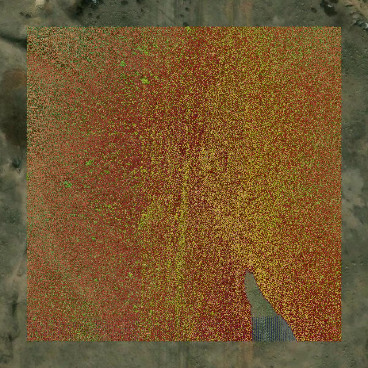 This image shows a LiDAR point cloud in Douglas County created using GIS data in Equator.