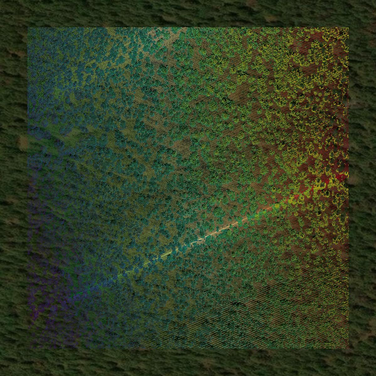 This image shows a LiDAR point cloud in Eagle County created using GIS data in Equator.