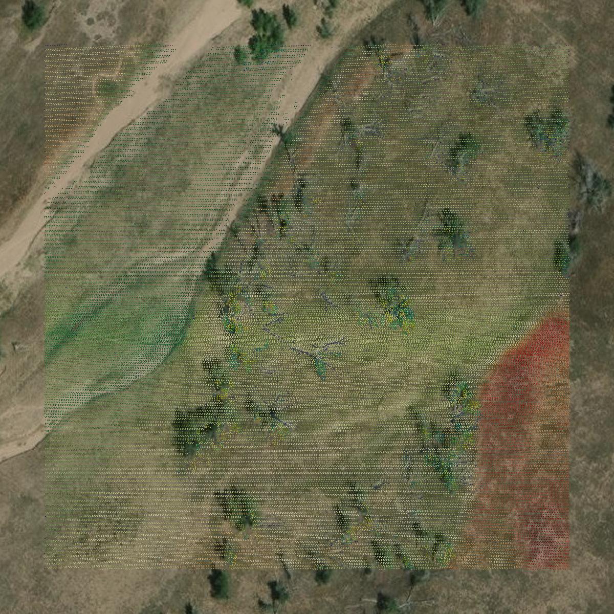 This image shows a LiDAR point cloud in Elbert County created using GIS data in Equator.