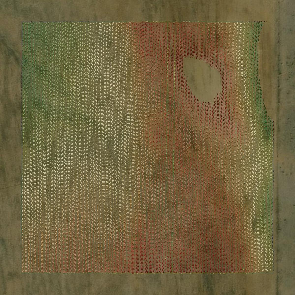 This image shows a LiDAR point cloud in Elbert County created using GIS data in Equator.