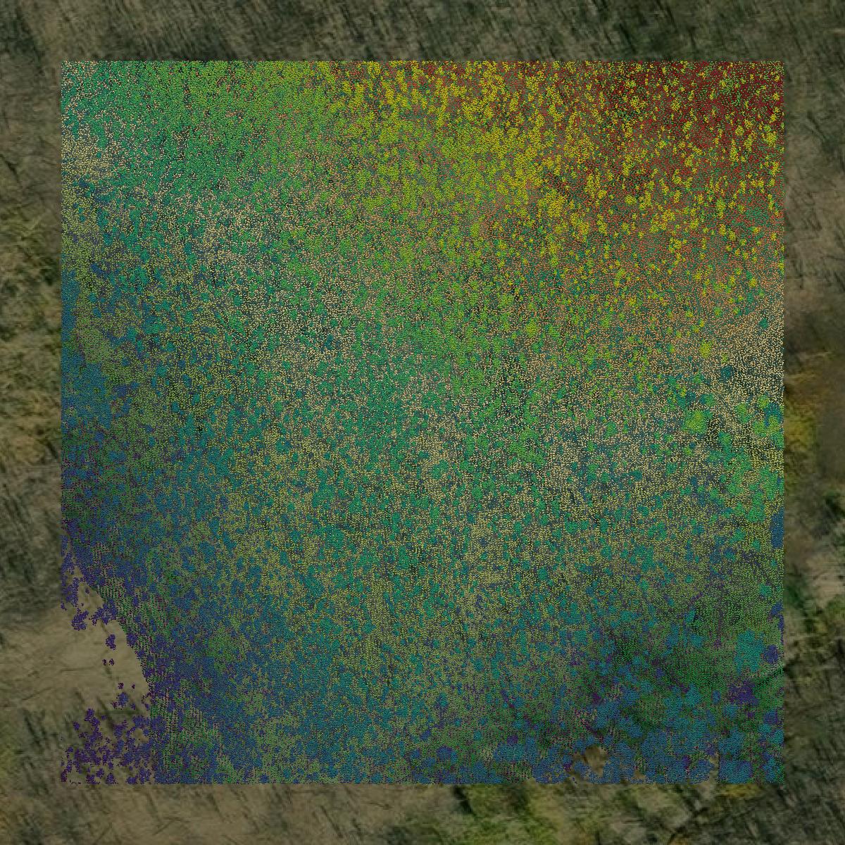This image shows a LiDAR point cloud in Grand County created using GIS data in Equator.