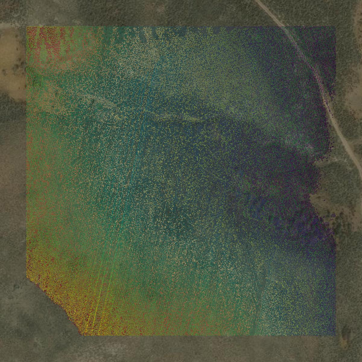 This image shows a LiDAR point cloud in Gunnison County created using GIS data in Equator.