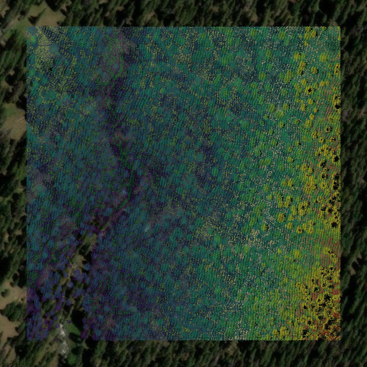 This image shows a LiDAR point cloud in Gunnison County created using GIS data in Equator.