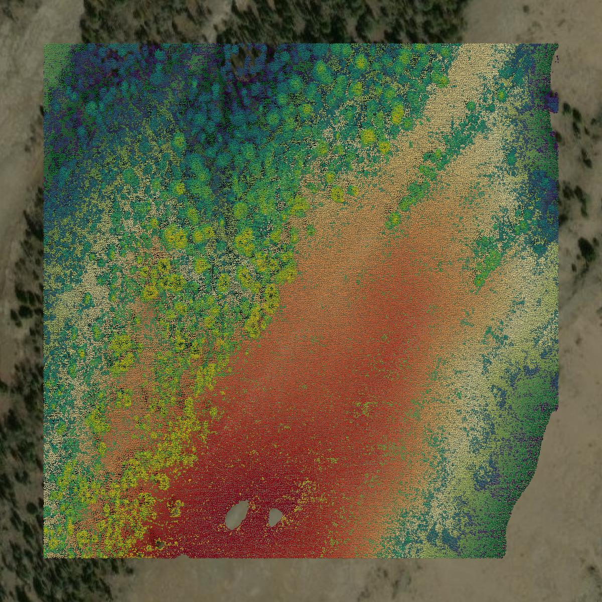 This image shows a LiDAR point cloud in Hinsdale County created using GIS data in Equator.