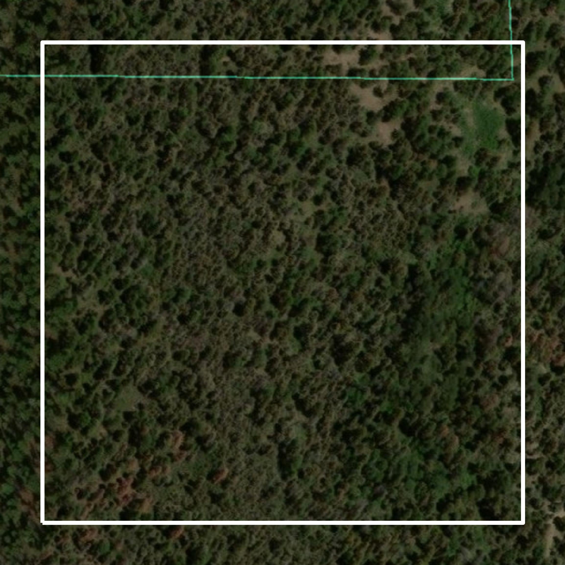This image shows parcel and building data in Huerfano County created using GIS data in Equator.