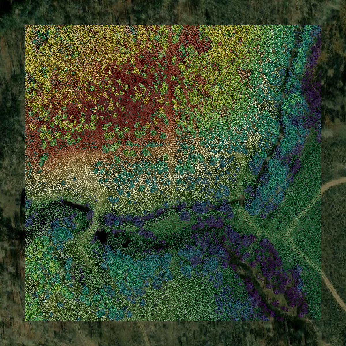 This image shows a LiDAR point cloud in Jackson County created using GIS data in Equator.