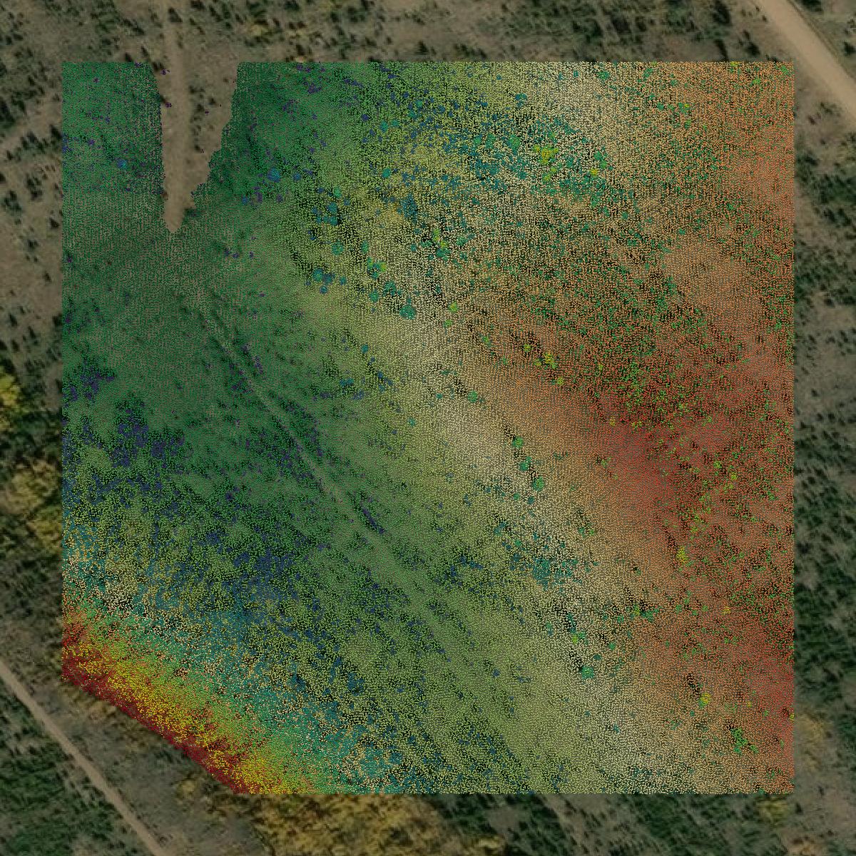 This image shows a LiDAR point cloud in Jackson County created using GIS data in Equator.