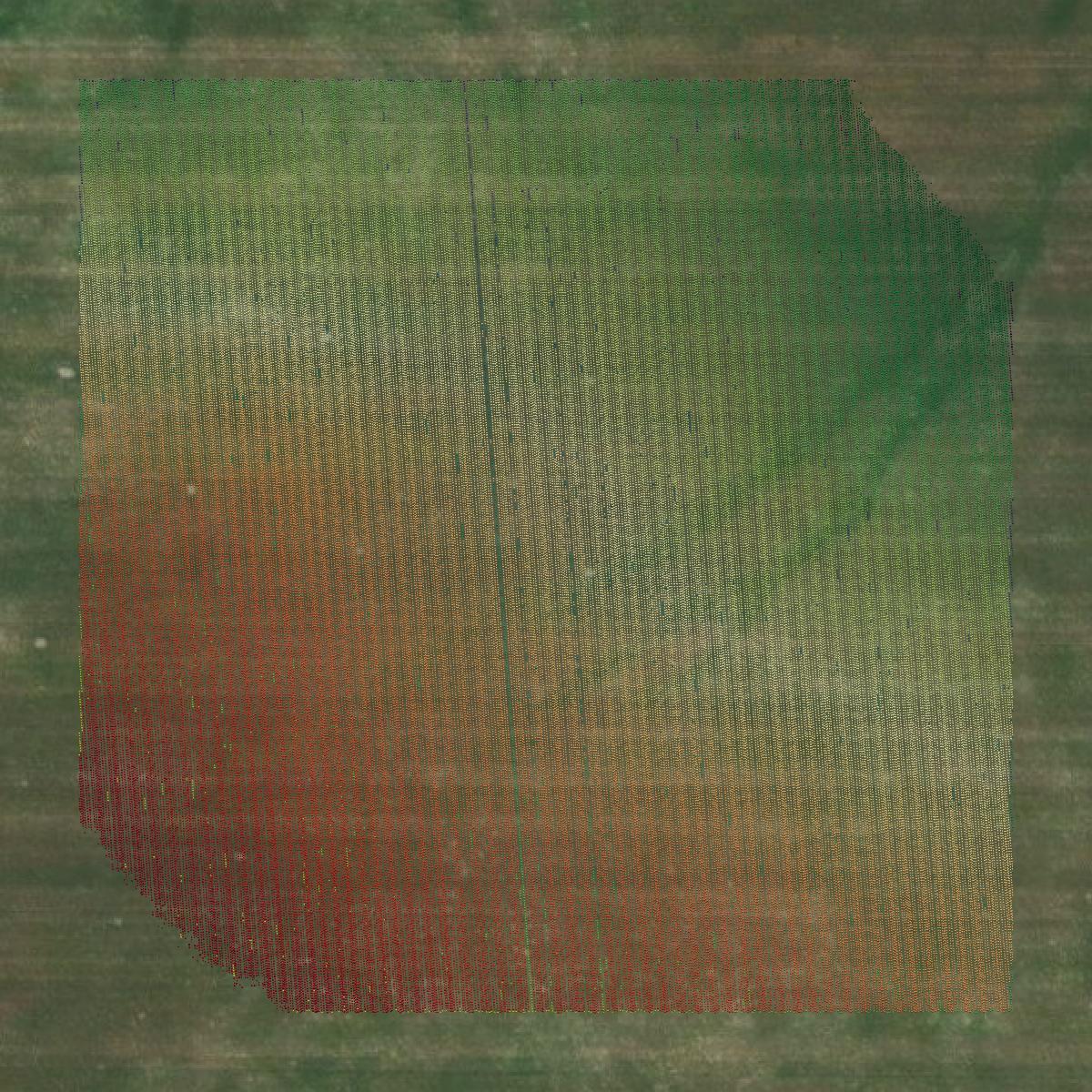 This image shows a LiDAR point cloud in Kiowa County created using GIS data in Equator.