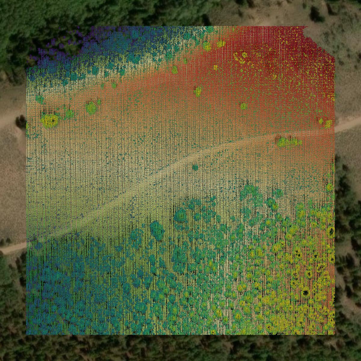 This image shows a LiDAR point cloud in Lake County created using GIS data in Equator.