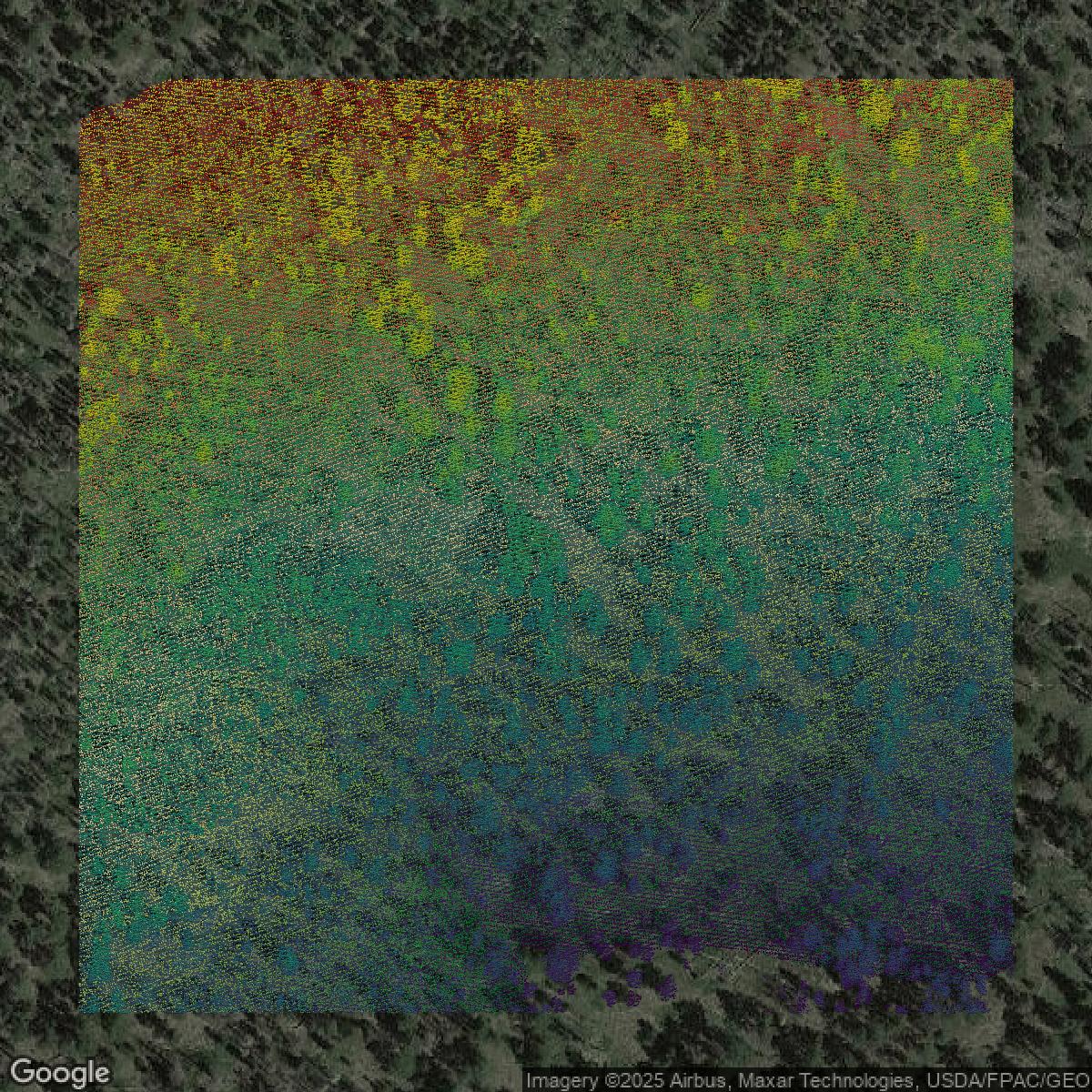 This image shows a LiDAR point cloud in Larimer County created using GIS data in Equator.