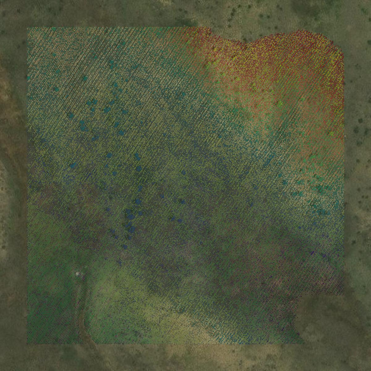 This image shows a LiDAR point cloud in Larimer County created using GIS data in Equator.