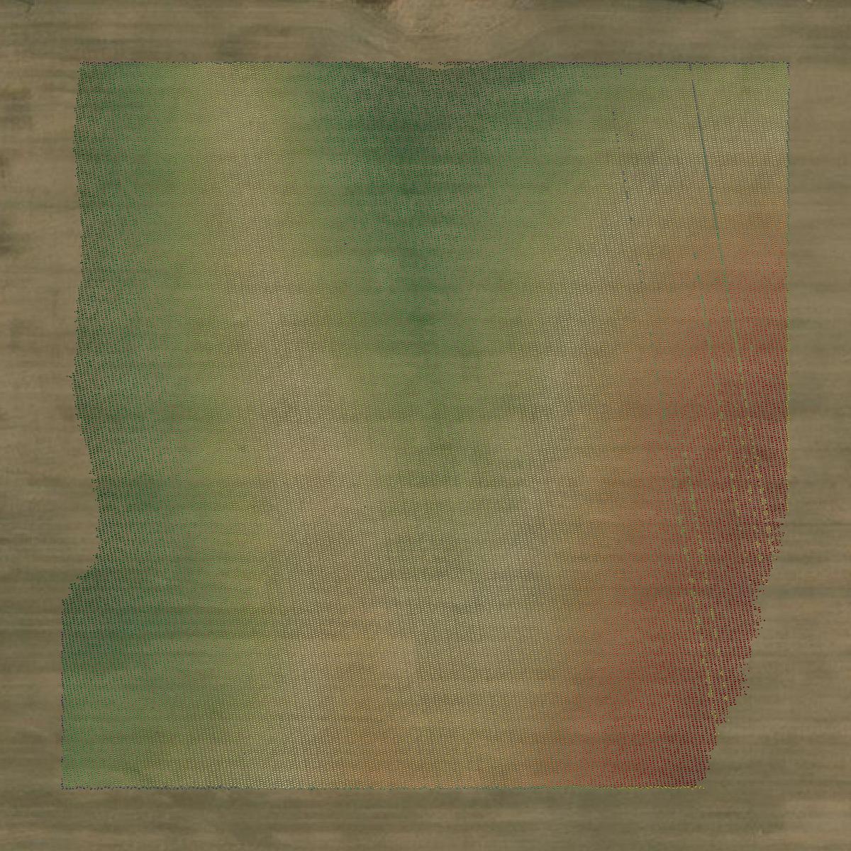 This image shows a LiDAR point cloud in Lincoln County created using GIS data in Equator.