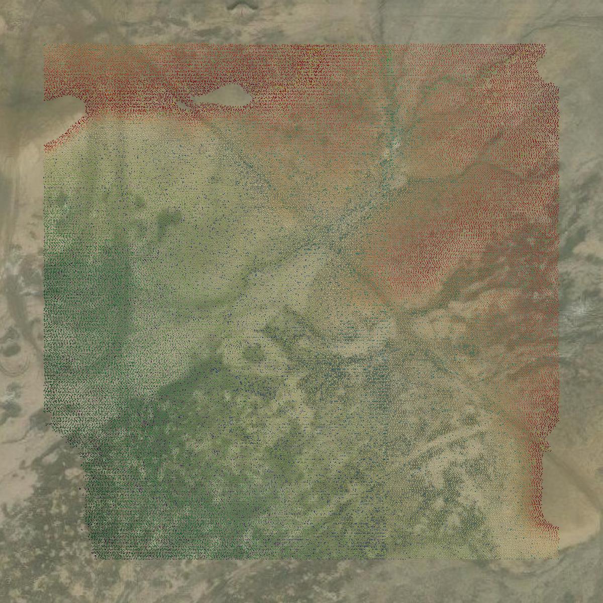 This image shows a LiDAR point cloud in Mesa County created using GIS data in Equator.