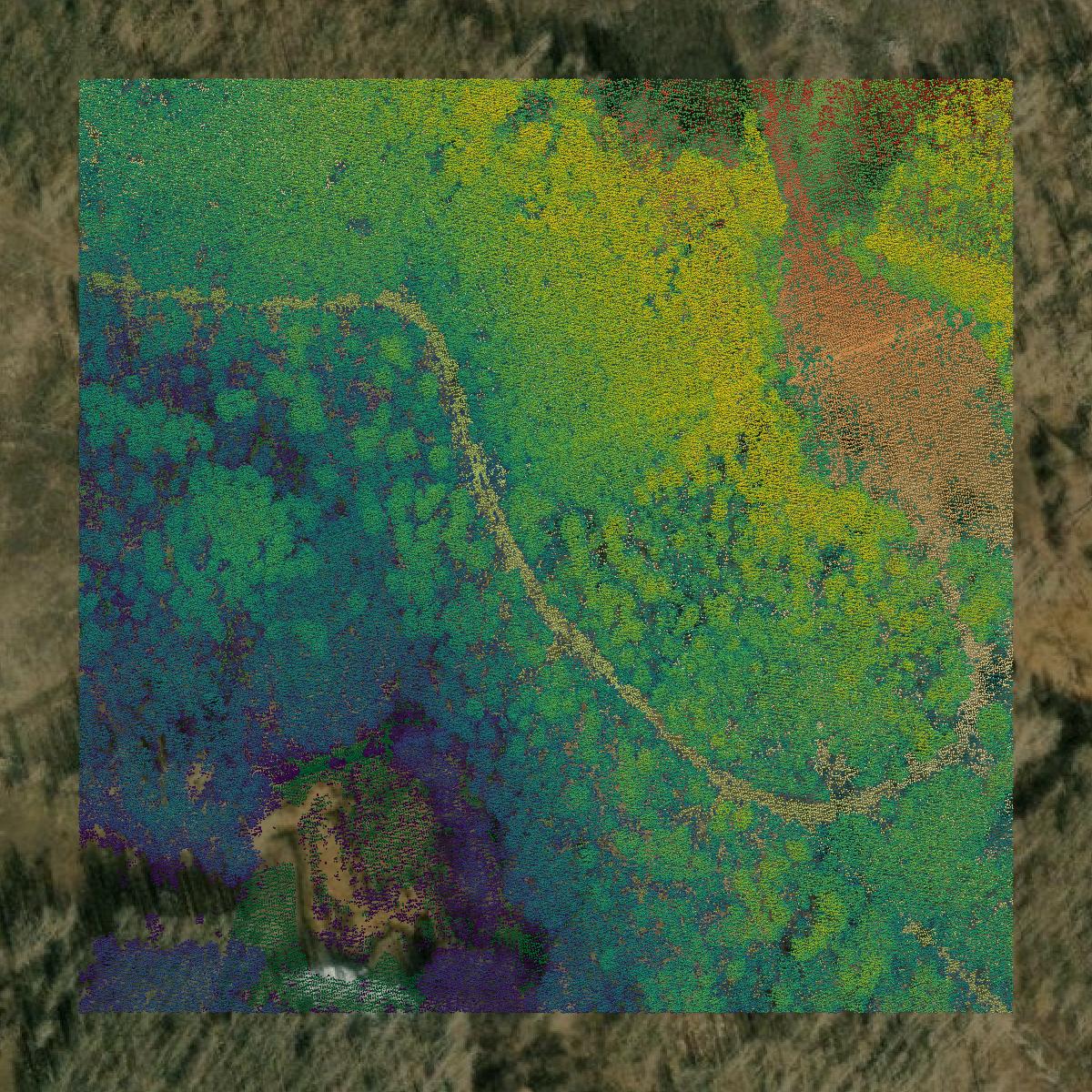 This image shows a LiDAR point cloud in Montezuma County created using GIS data in Equator.