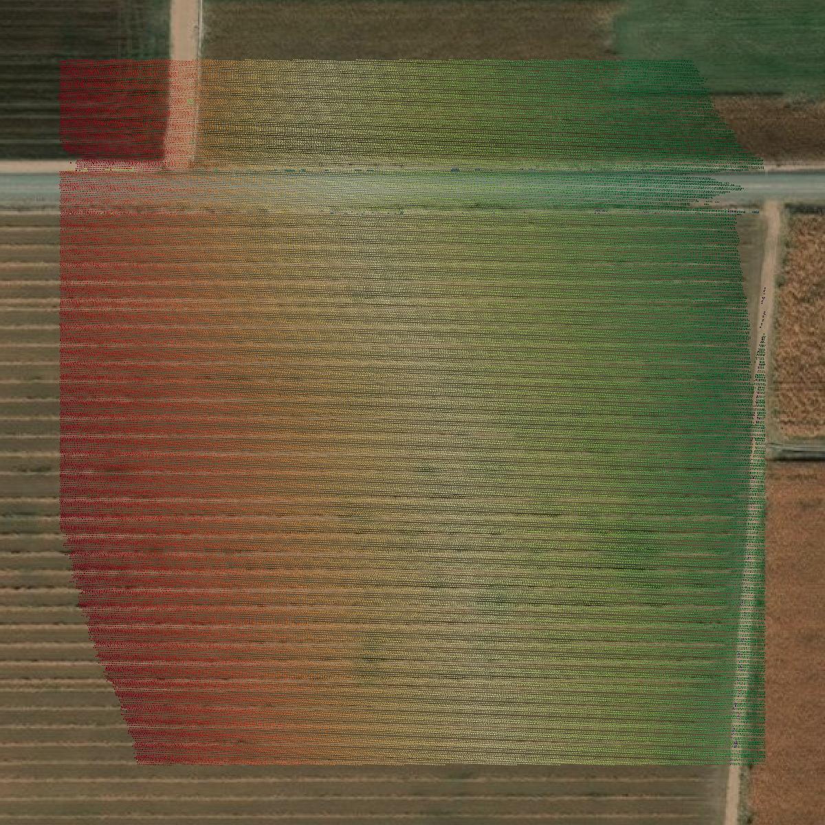 This image shows a LiDAR point cloud in Montrose County created using GIS data in Equator.
