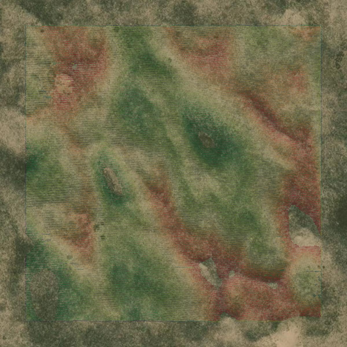 This image shows a LiDAR point cloud in Morgan County created using GIS data in Equator.