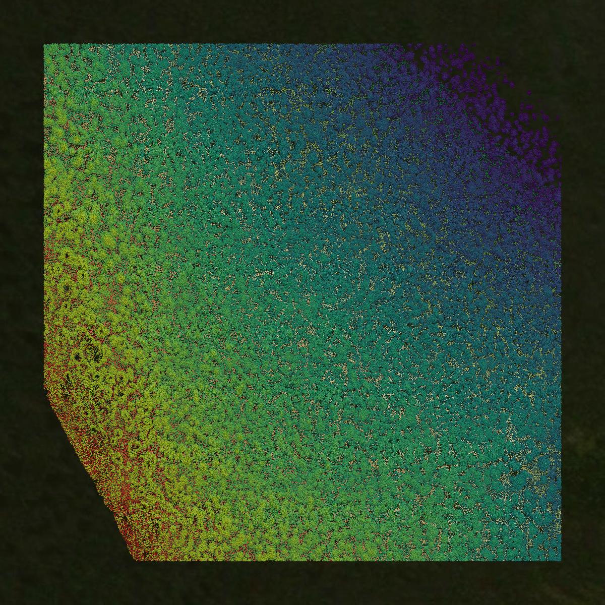 This image shows a LiDAR point cloud in Park County created using GIS data in Equator.