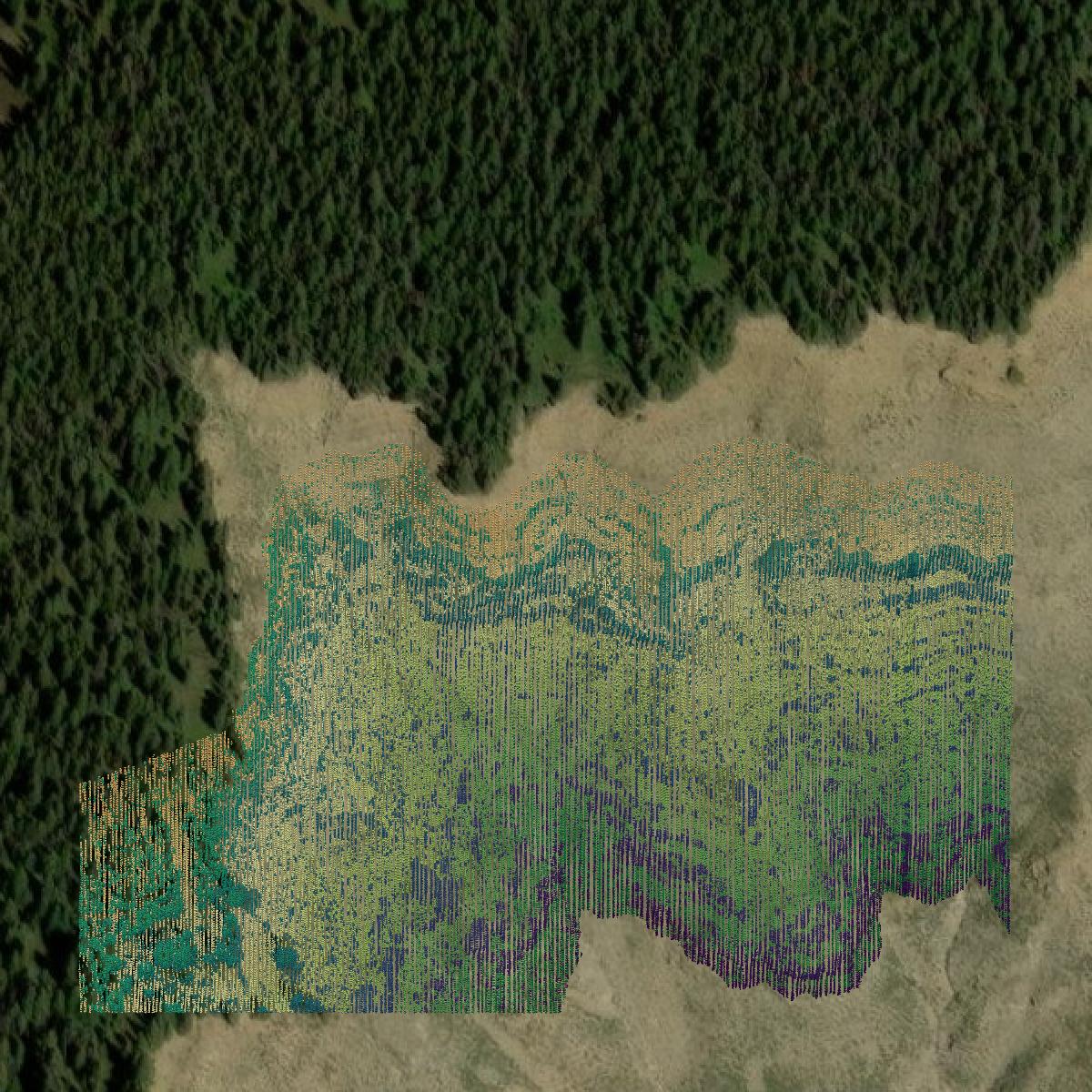 This image shows a LiDAR point cloud in Pitkin County created using GIS data in Equator.