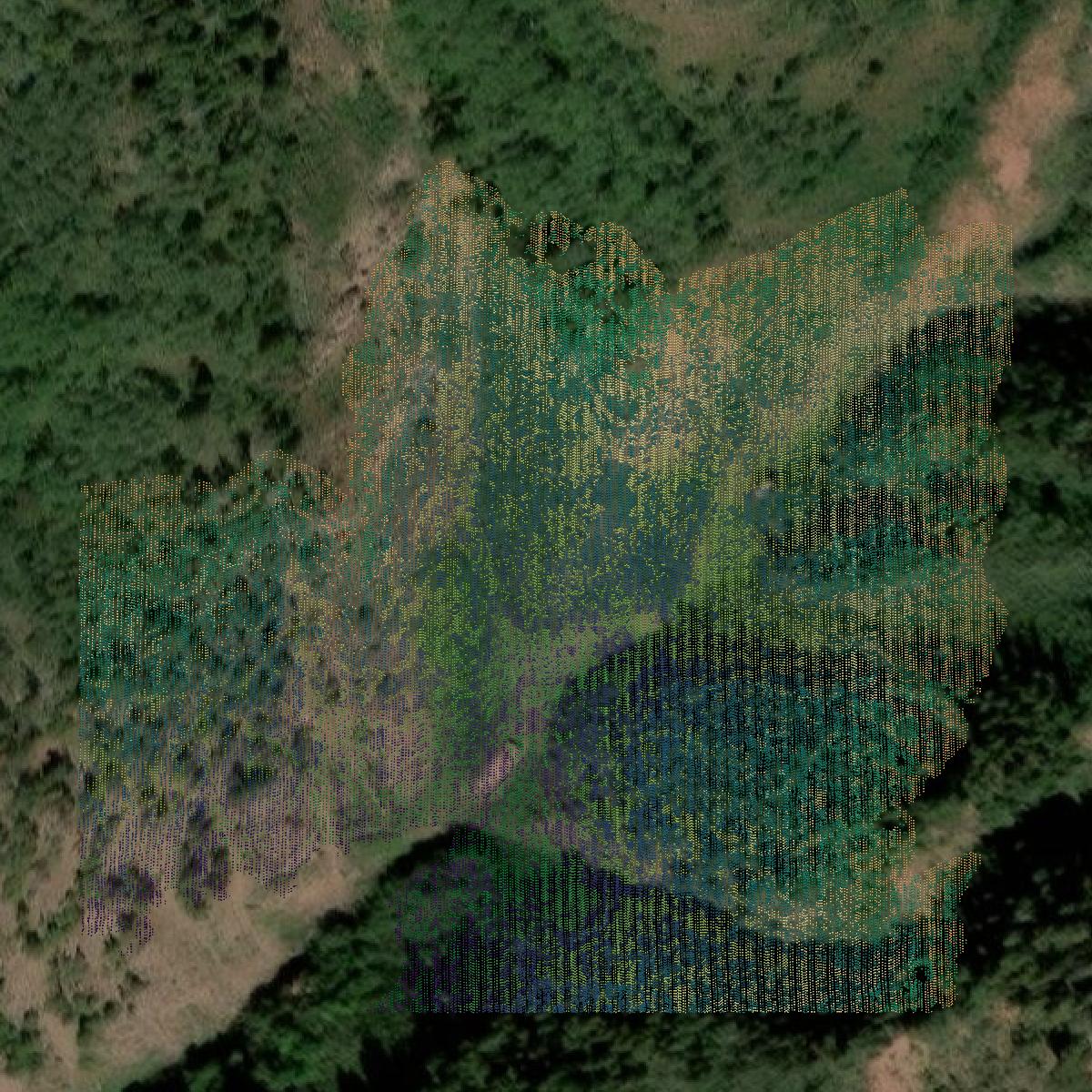 This image shows a LiDAR point cloud in Pitkin County created using GIS data in Equator.