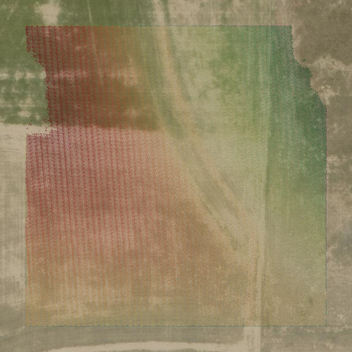 This image shows a LiDAR point cloud in Prowers County created using GIS data in Equator.