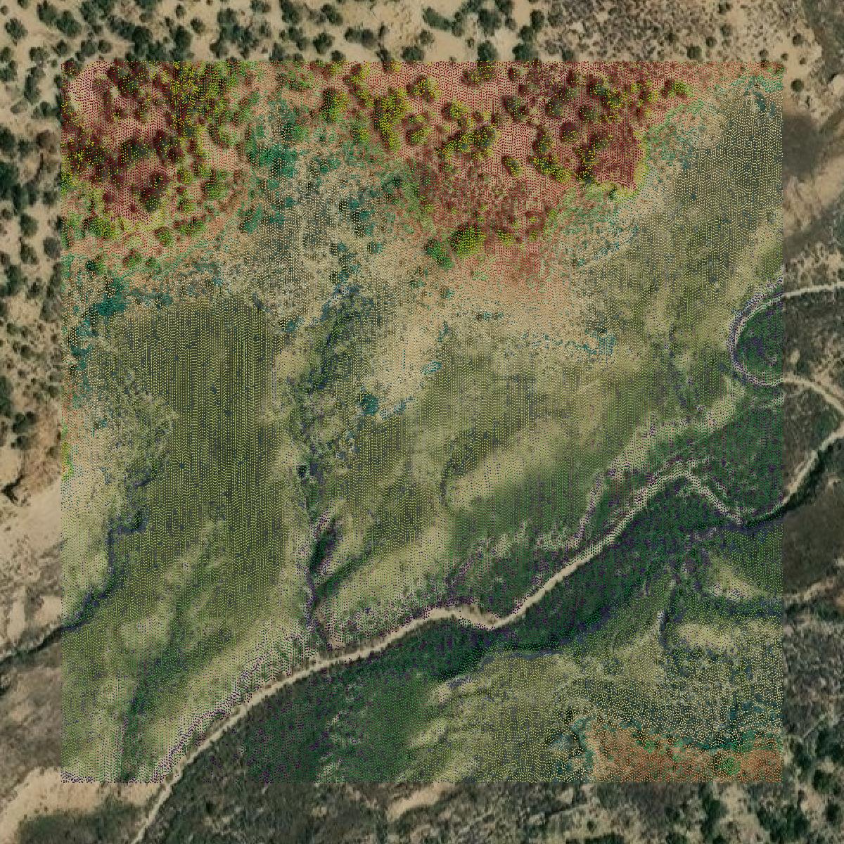 This image shows a LiDAR point cloud in Rio Blanco County created using GIS data in Equator.