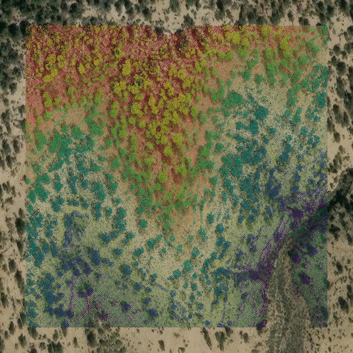 This image shows a LiDAR point cloud in Rio Blanco County created using GIS data in Equator.