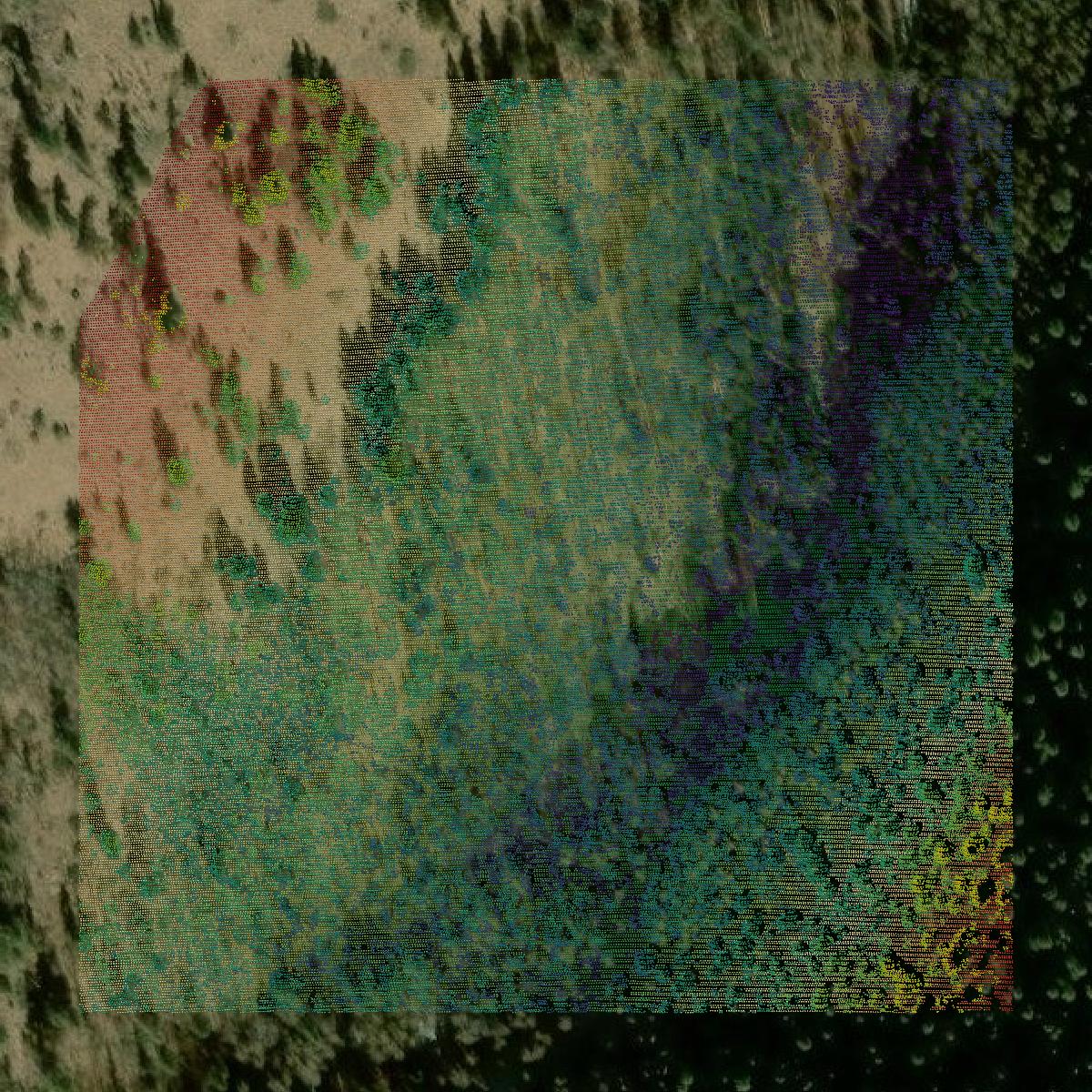 This image shows a LiDAR point cloud in Rio Grande County created using GIS data in Equator.