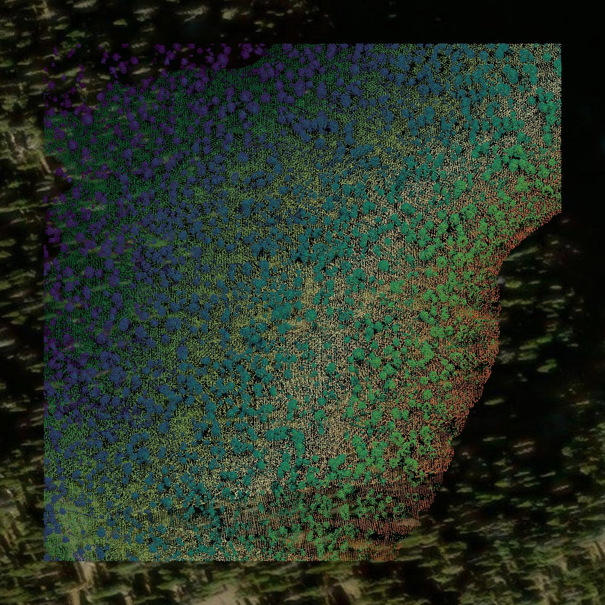This image shows a LiDAR point cloud in Routt County created using GIS data in Equator.