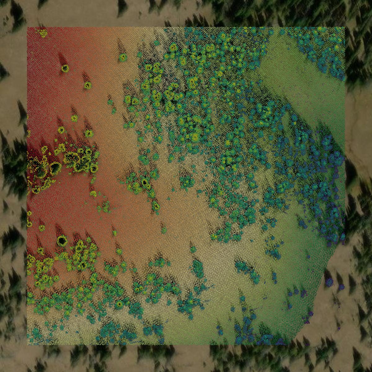 This image shows a LiDAR point cloud in Routt County created using GIS data in Equator.