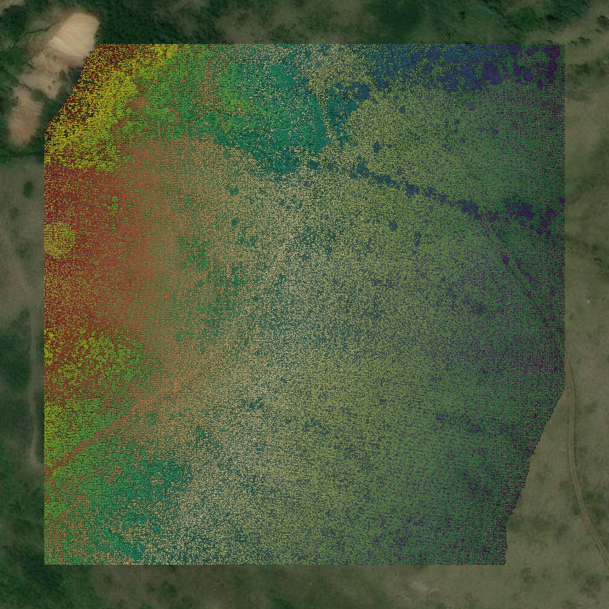 This image shows a LiDAR point cloud in San Juan County created using GIS data in Equator.