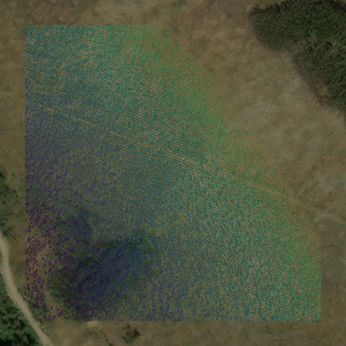 This image shows a LiDAR point cloud in Summit County created using GIS data in Equator.