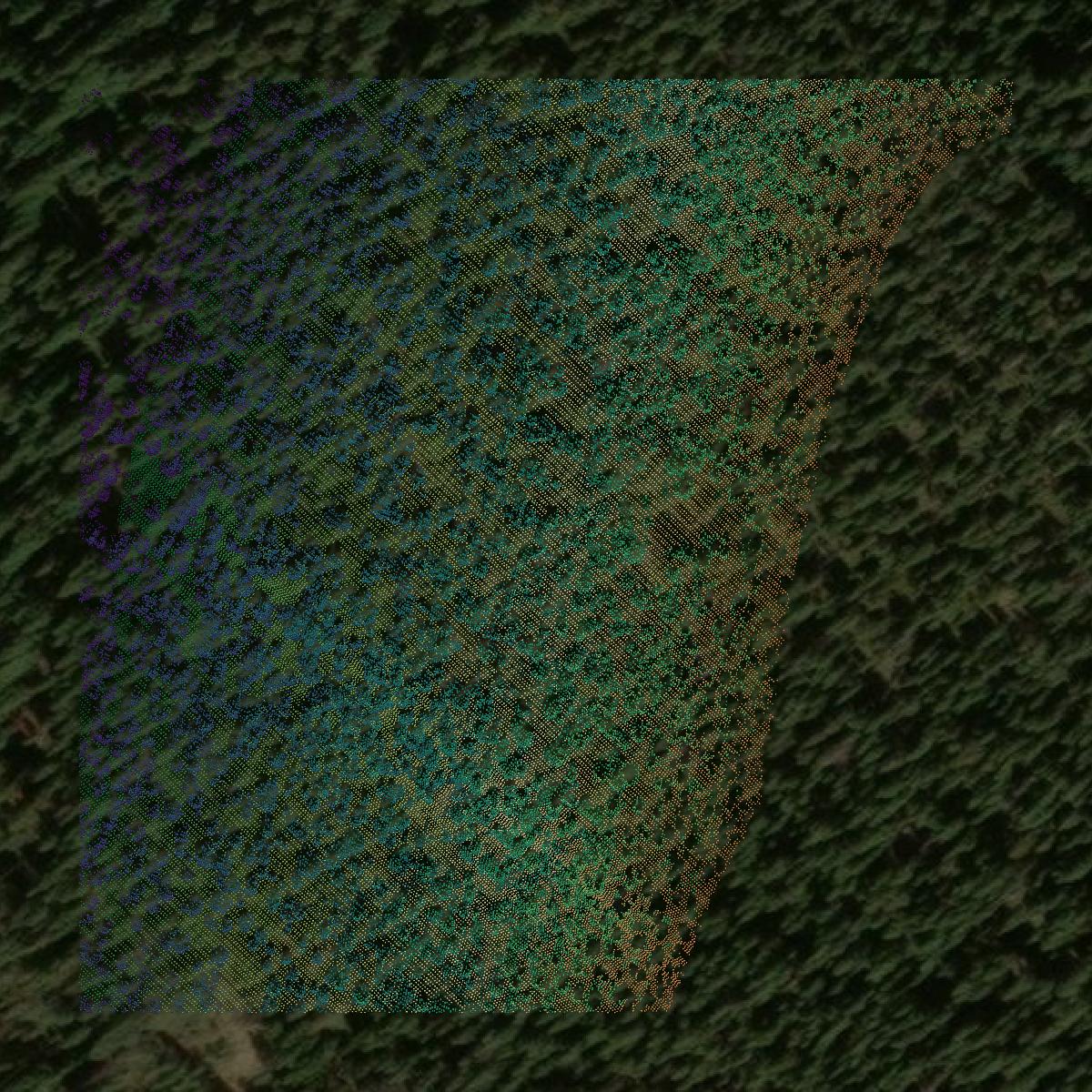 This image shows a LiDAR point cloud in Summit County created using GIS data in Equator.