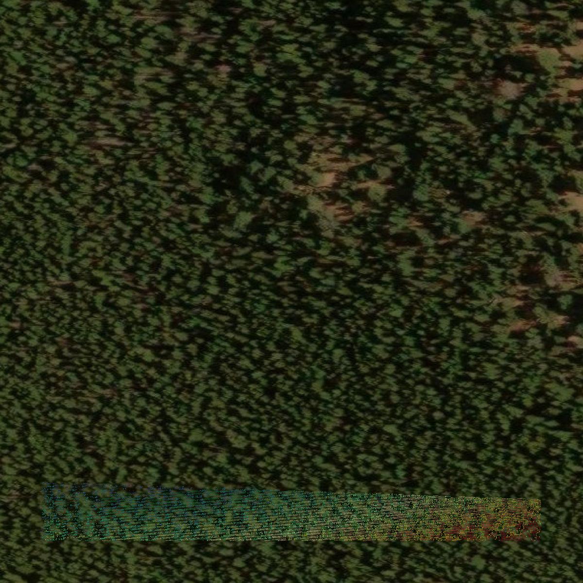 This image shows a LiDAR point cloud in Teller County created using GIS data in Equator.