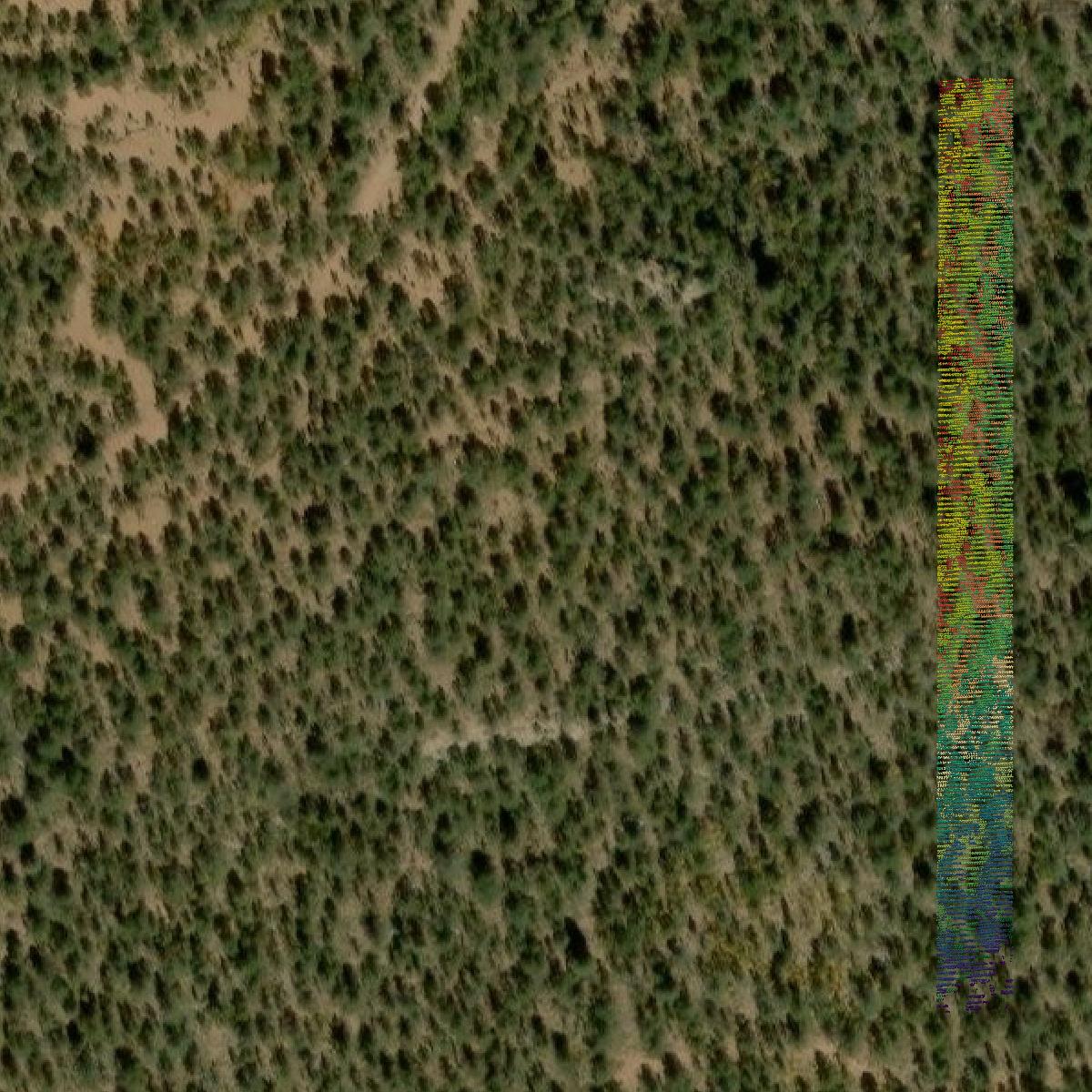 This image shows a LiDAR point cloud in Teller County created using GIS data in Equator.