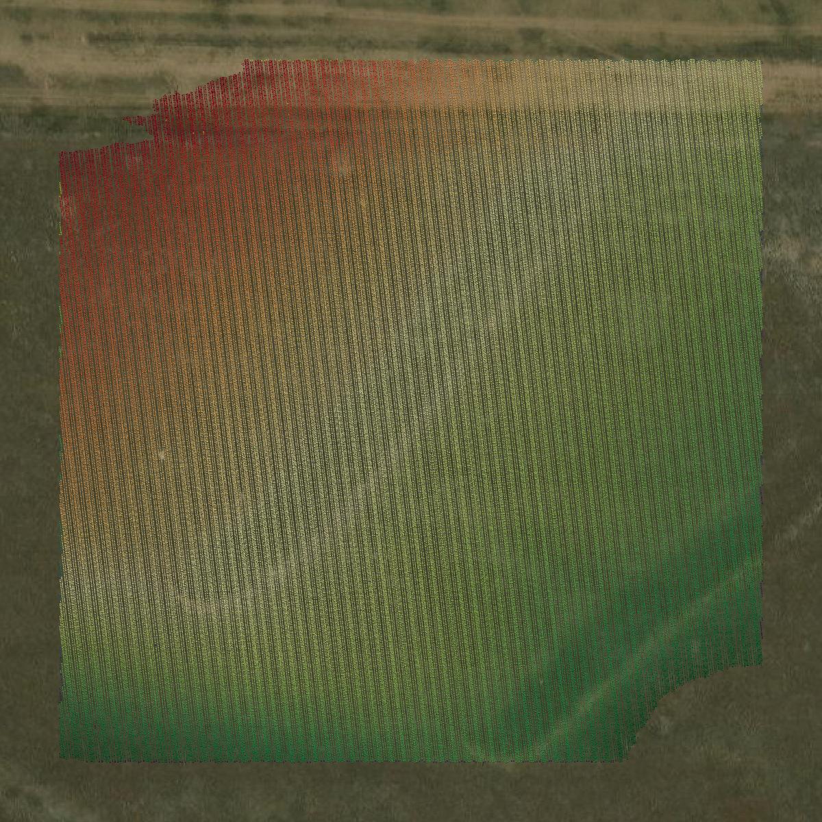 This image shows a LiDAR point cloud in Washington County created using GIS data in Equator.