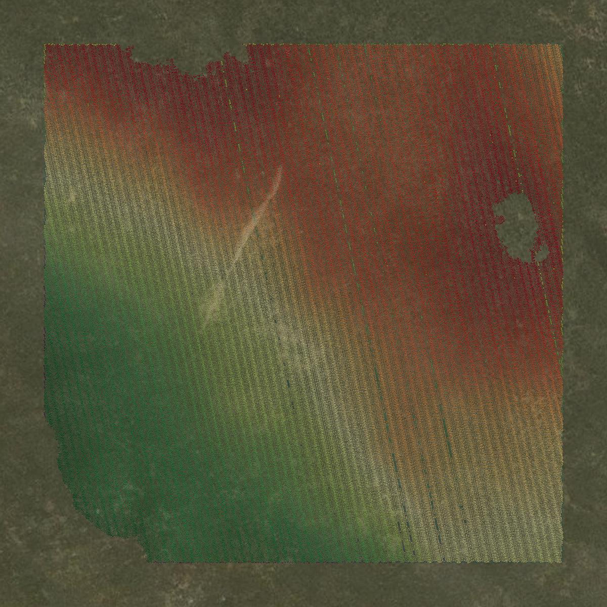 This image shows a LiDAR point cloud in Yuma County created using GIS data in Equator.