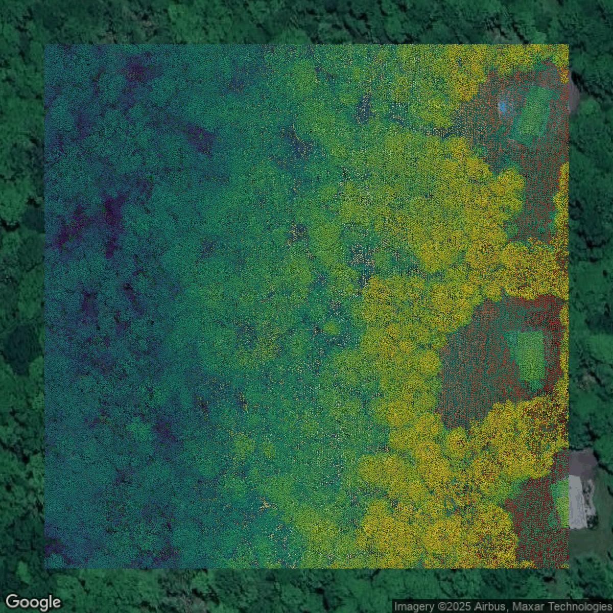 This image shows a LiDAR point cloud in Naugatuck Valley Planning Region created using GIS data in Equator.
