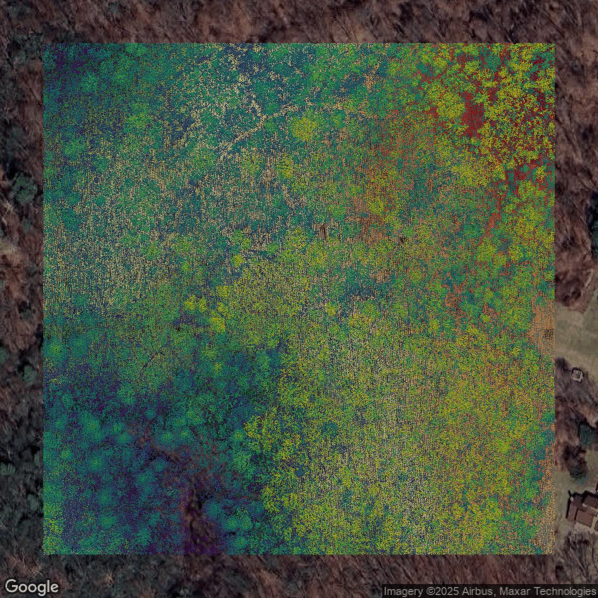 This image shows a LiDAR point cloud in Naugatuck Valley Planning Region created using GIS data in Equator.