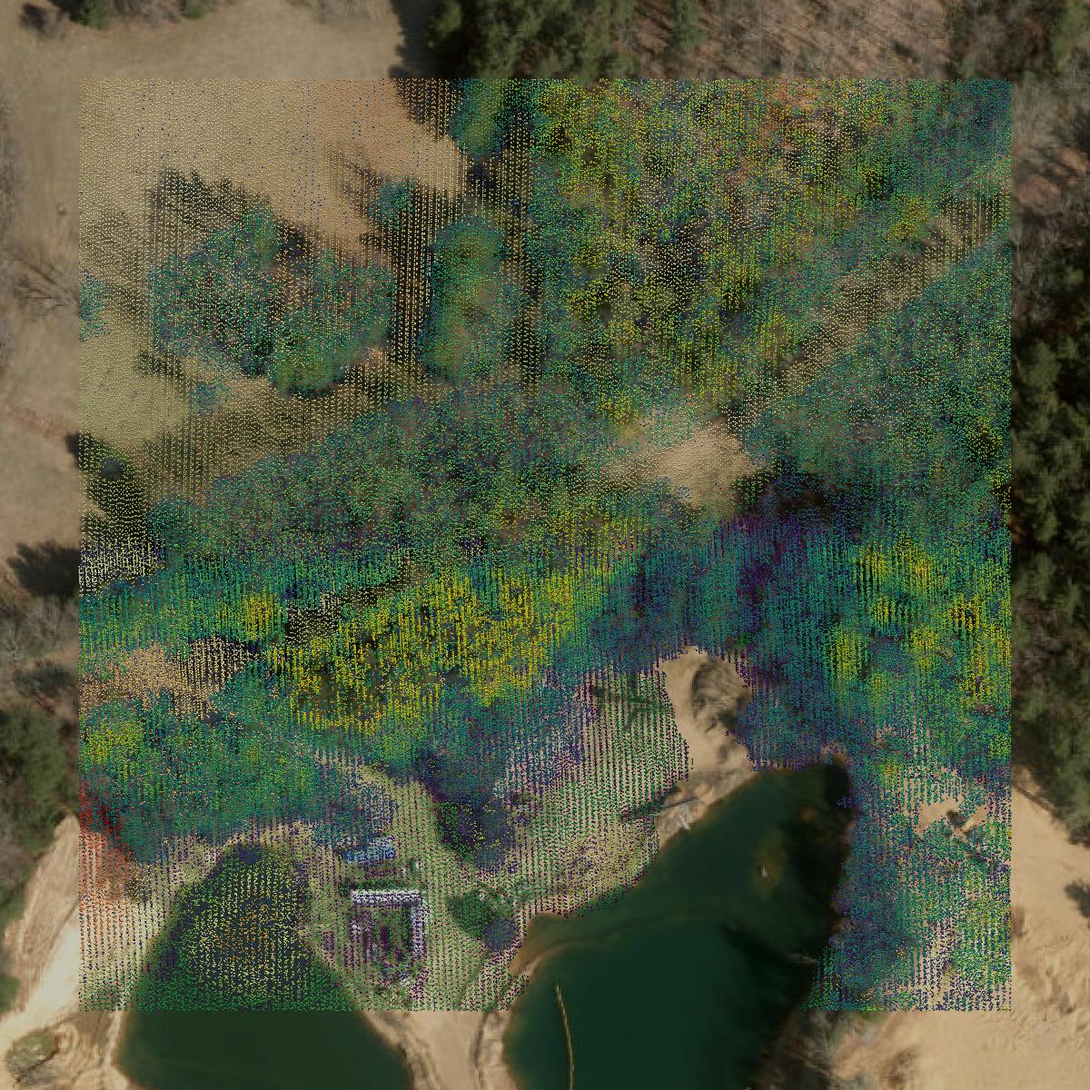 This image shows a LiDAR point cloud in Northeastern Connecticut Planning Region created using GIS data in Equator.