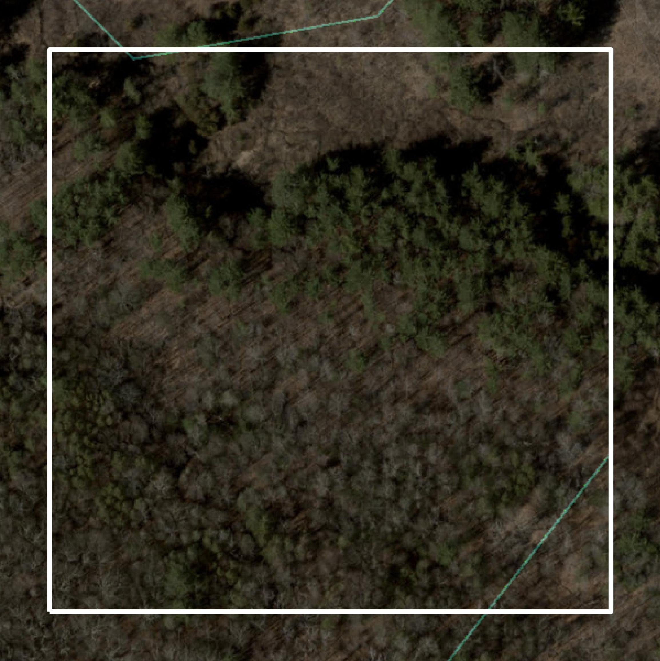 This image shows parcel and building data in Northwest Hills Planning Region created using GIS data in Equator.