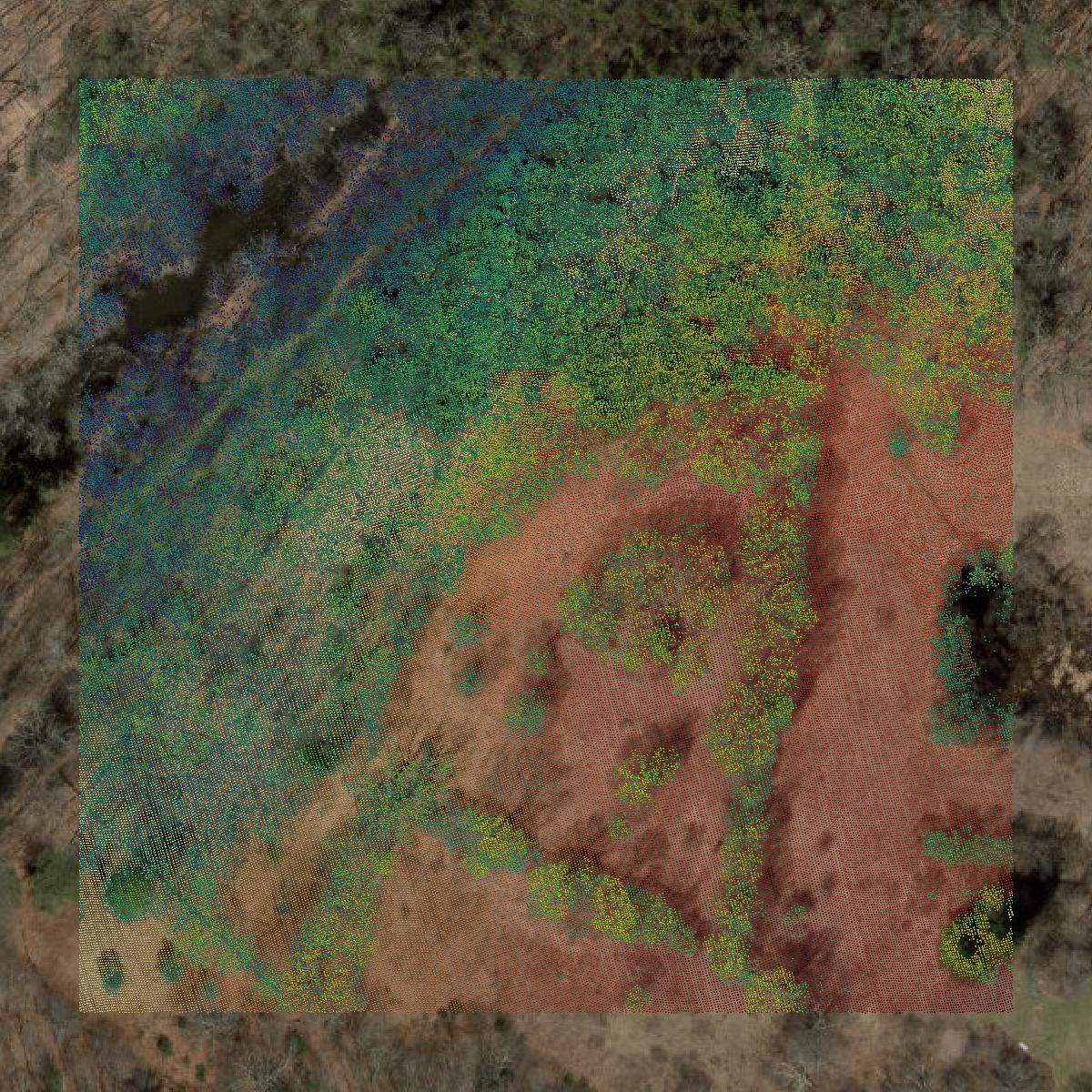 This image shows a LiDAR point cloud in Northwest Hills Planning Region created using GIS data in Equator.
